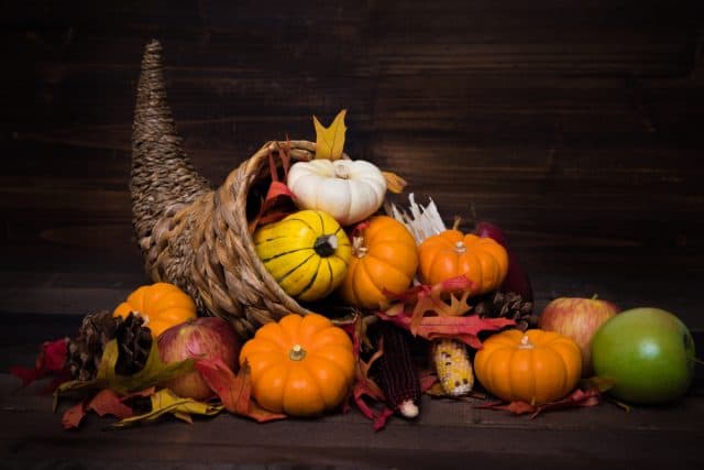 Beautiful And Easy DIY Thanksgiving Centerpiece Ideas