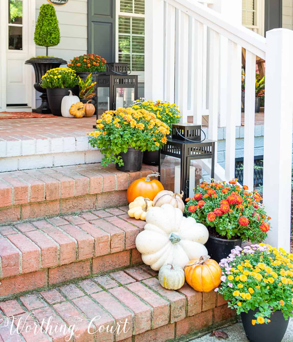 mums and pumpkins trailing down brick steps