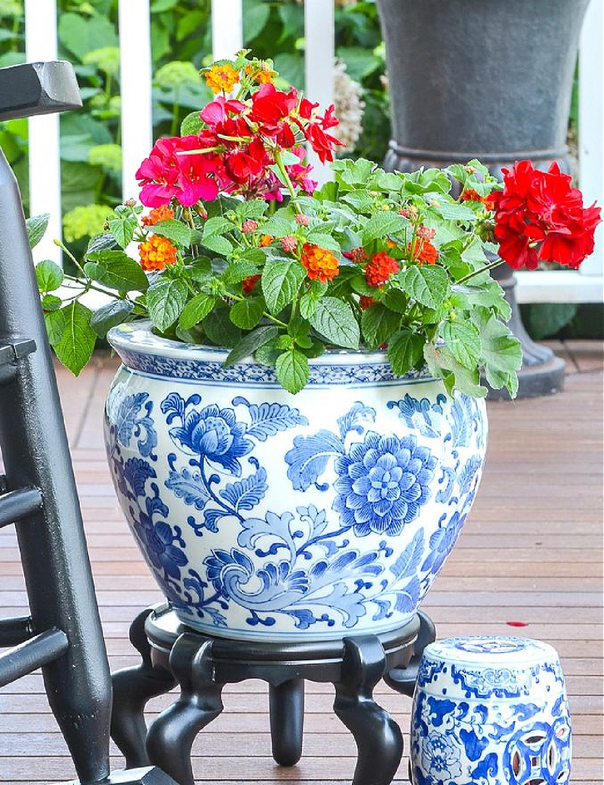 red geraniums in a blue and white chinoiserie planter