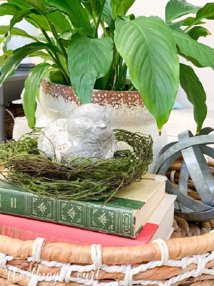 stacked books, a plant, and other small accessories in a wicker tray