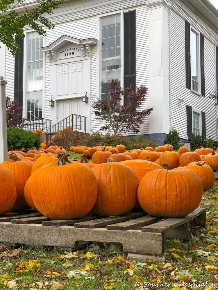 group of orange pumpkins on a wooden pallet