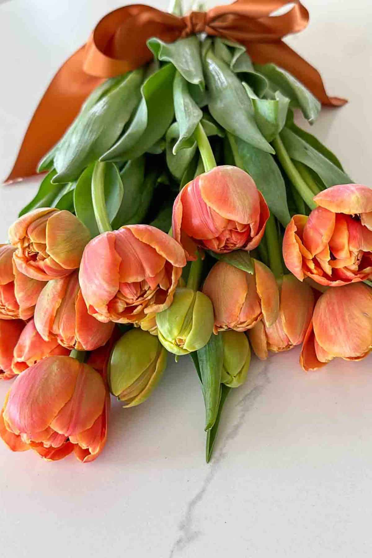 coral colored cut tulips lying on a white counter