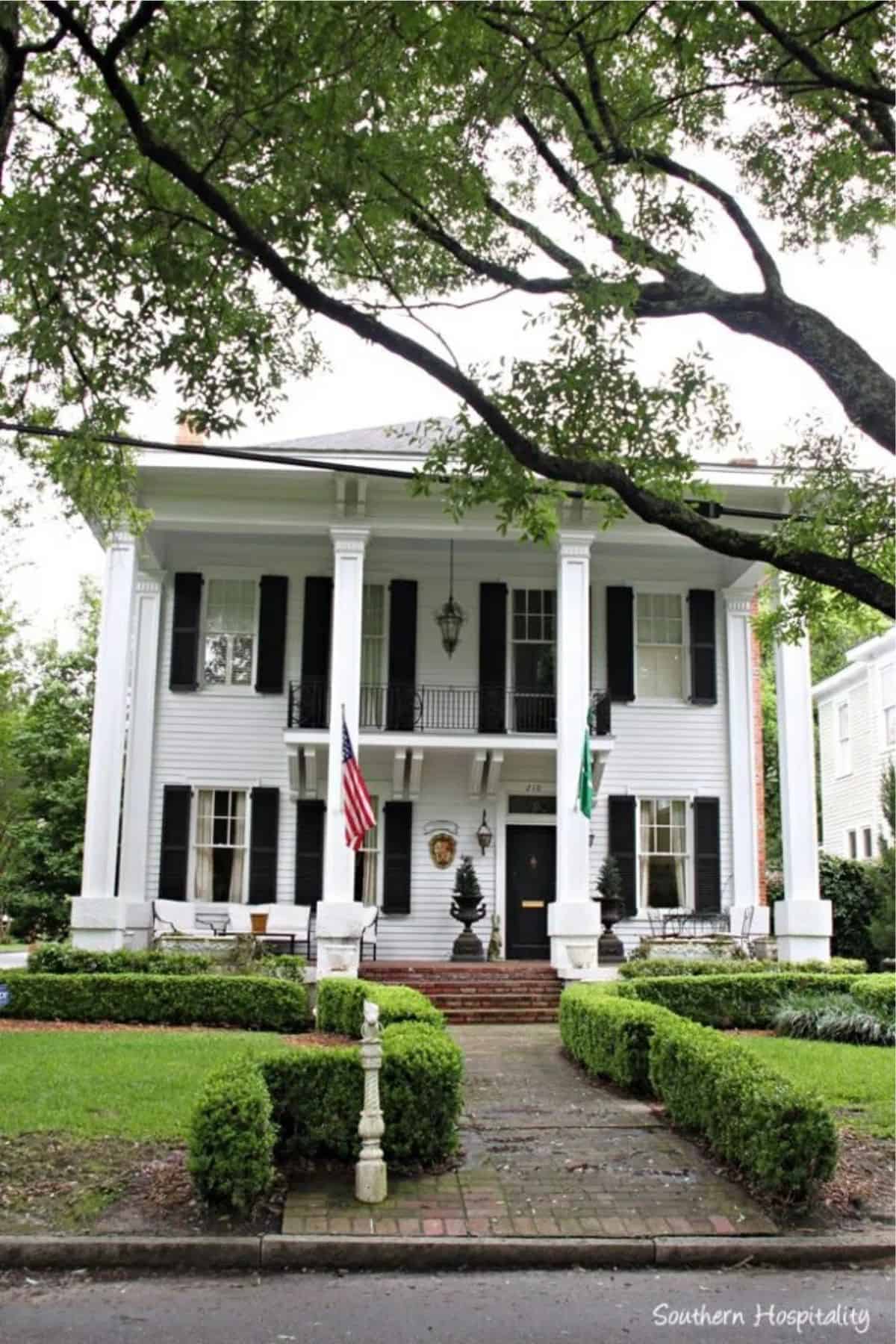 sidewalk lined with small shrubs leading up to an old white house