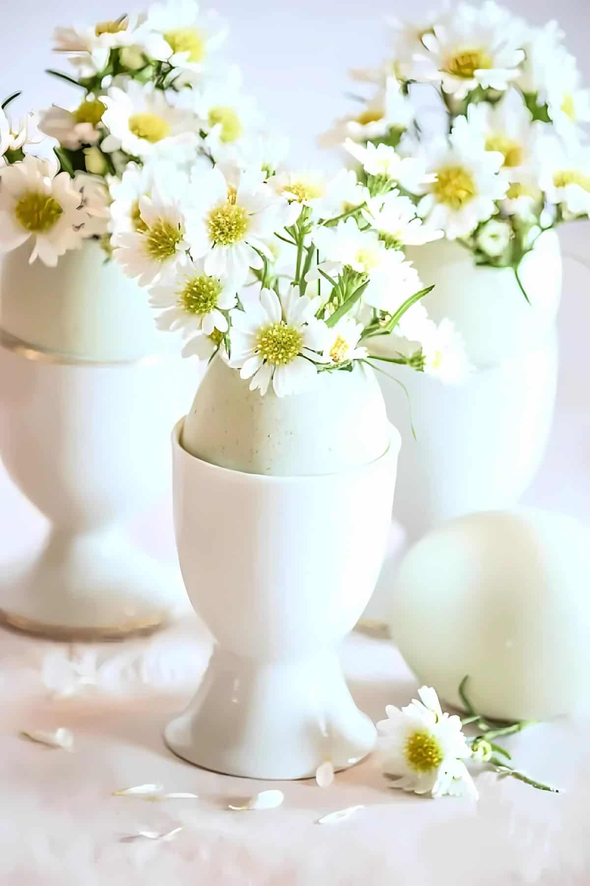 several eggs in white egg cups filled with small white flowers for spring