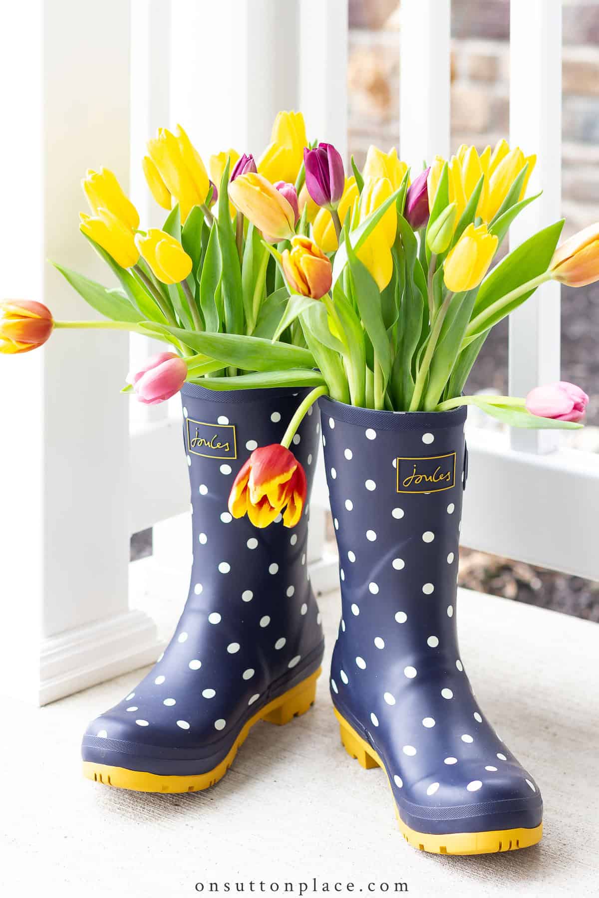 cut daffodils in multiple colors displayed in a pair of blue rain boots