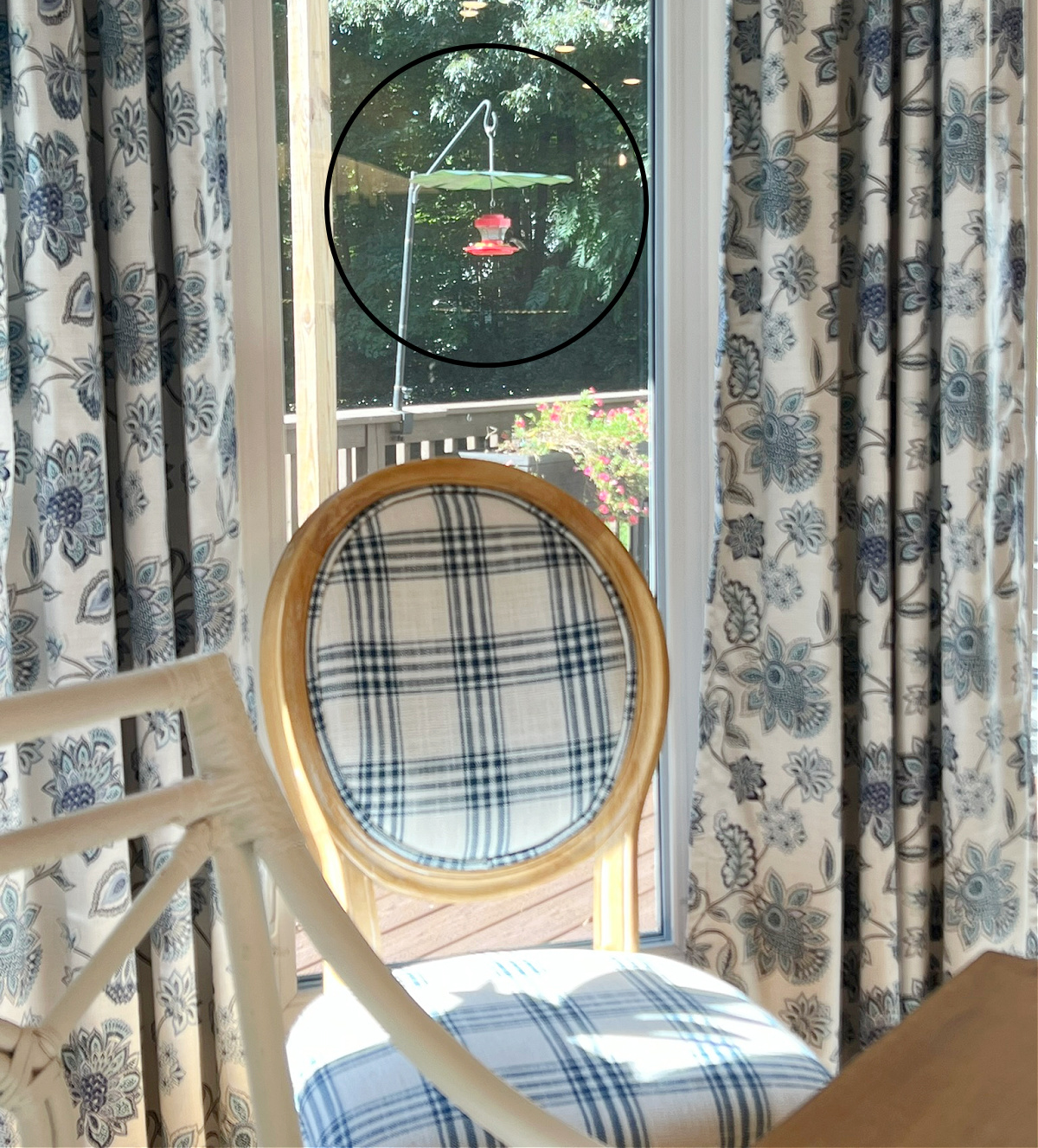 view through a window of a hummingbird feeder with a blue and white chair sitting in front of the window 