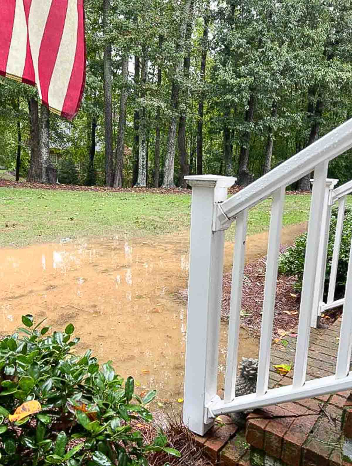 image of standing muddy water in a front yard