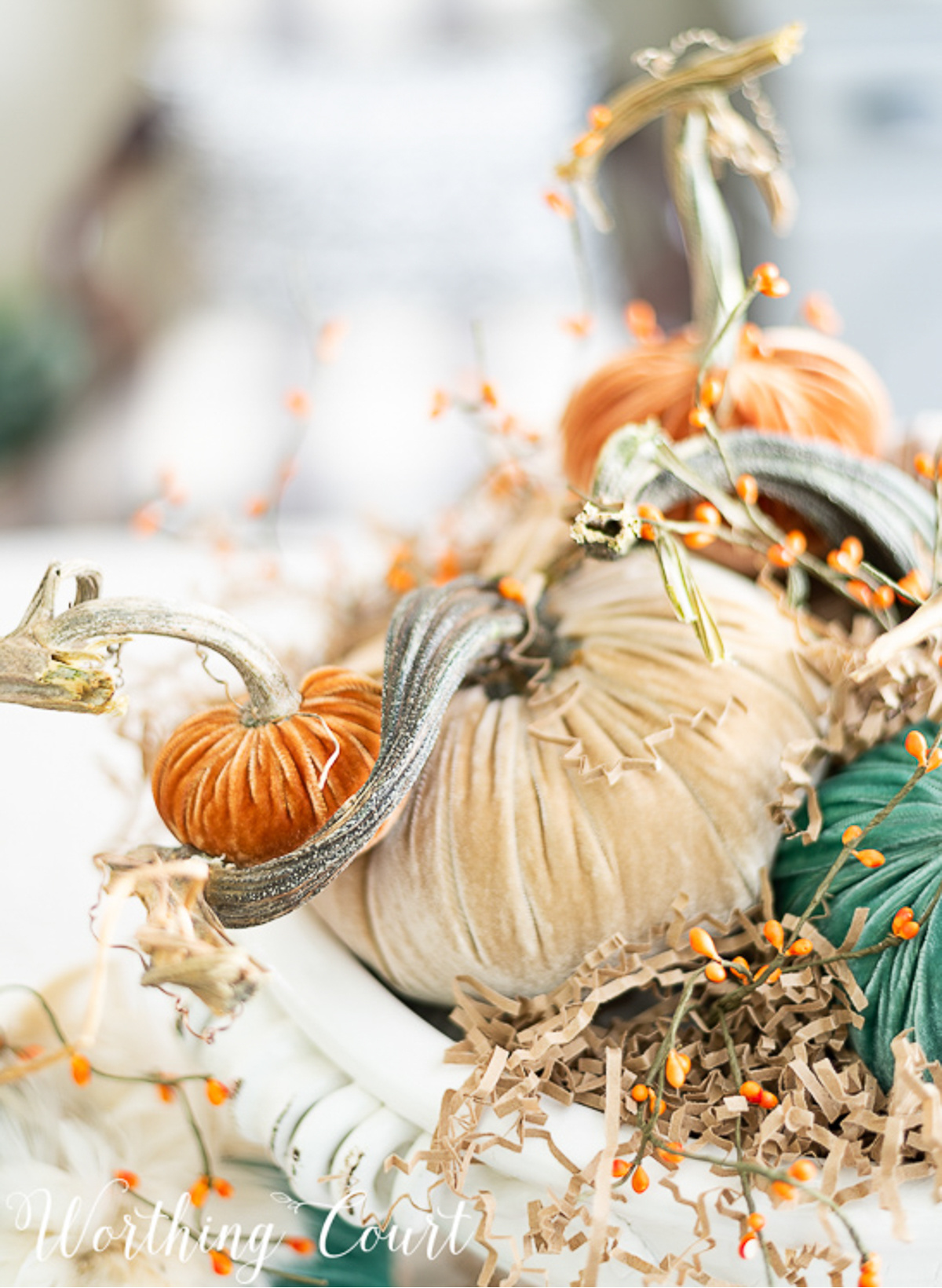 various color velvet pumpkins arranged in a white bowl