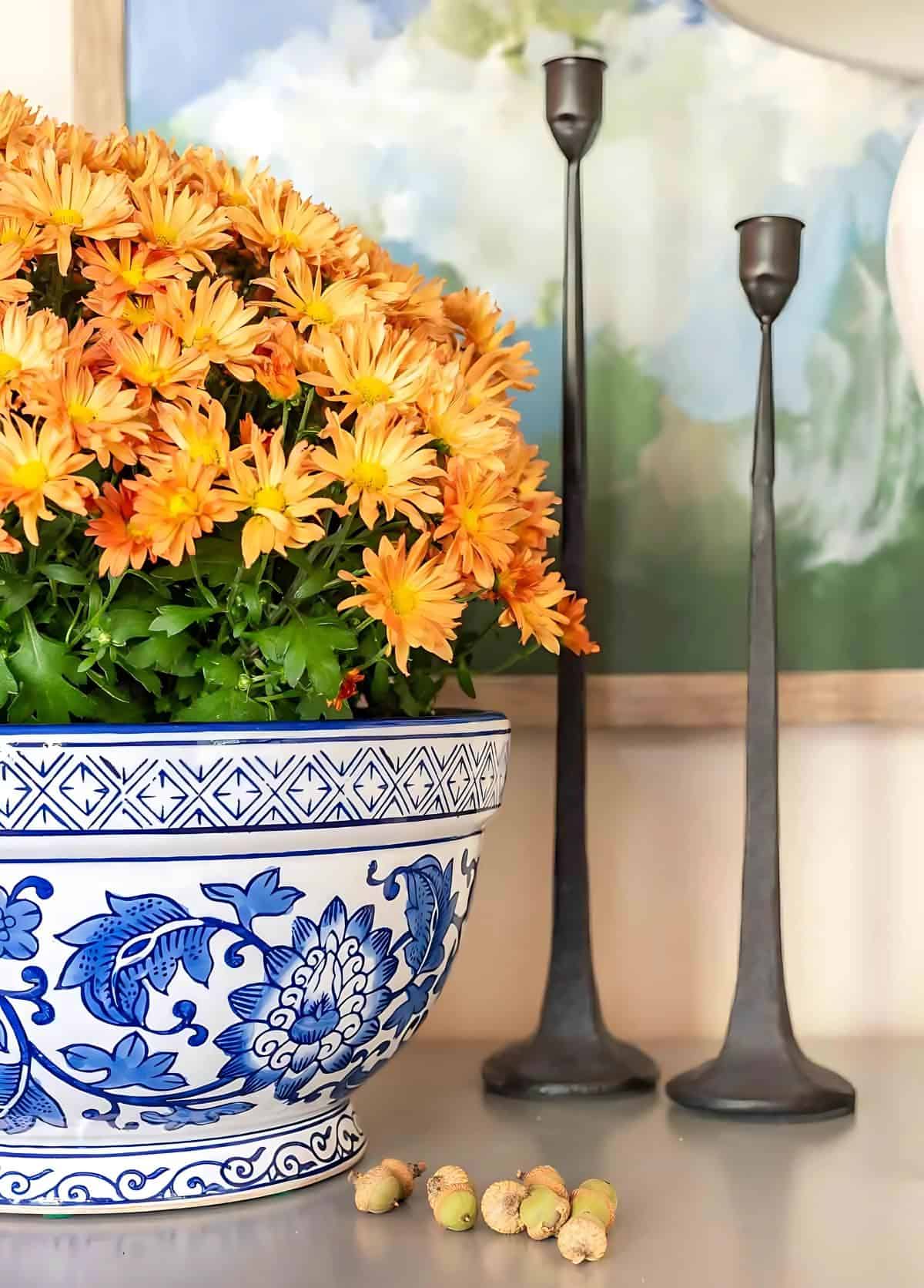 bronze mums in a blue and white bowl