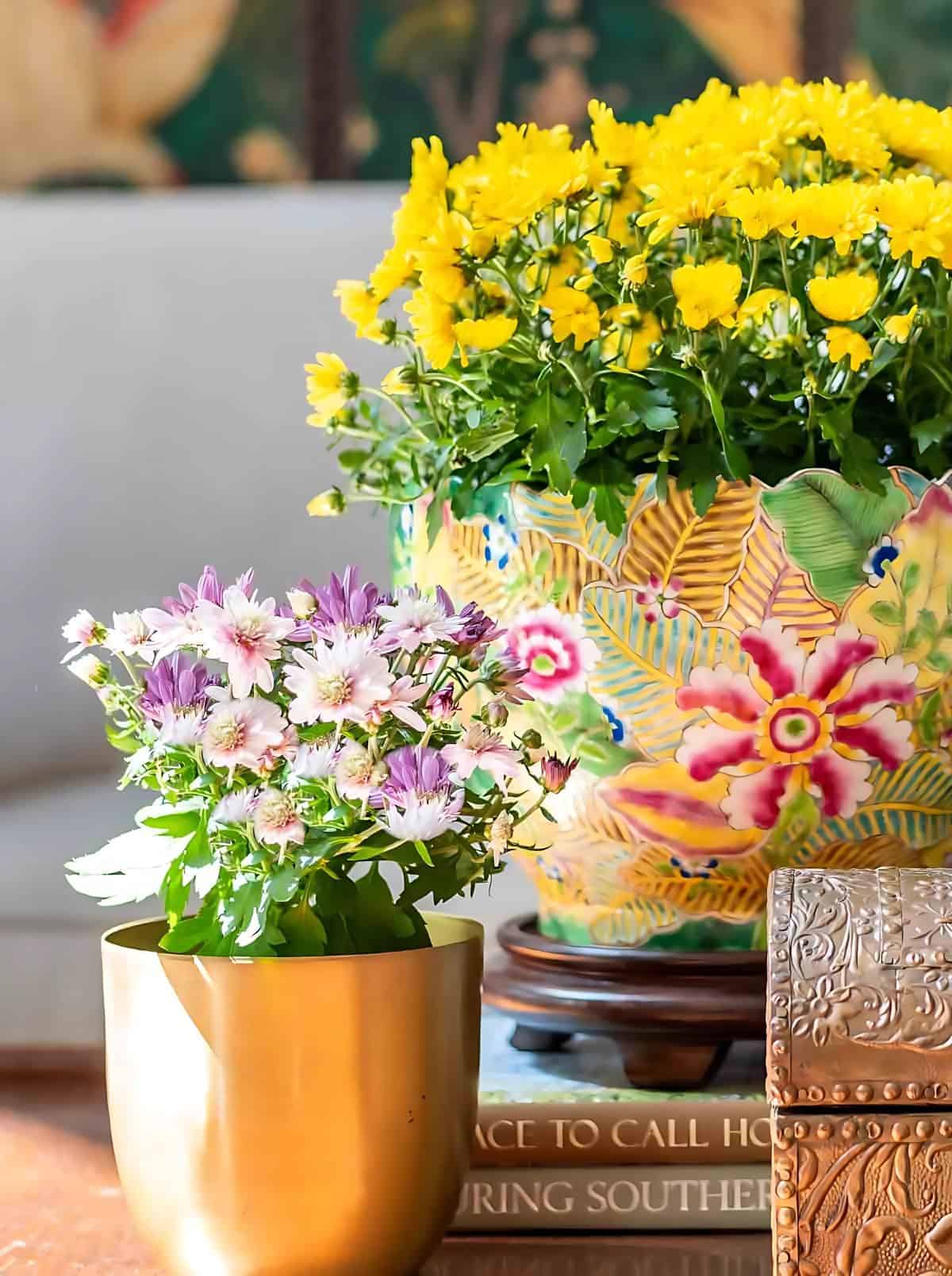 yellow mums in a colorful container on a wooden coffee table