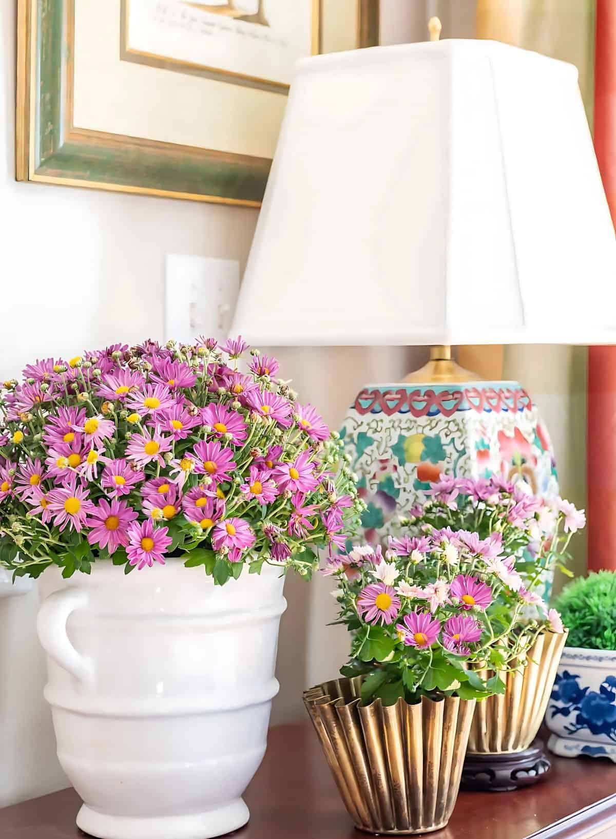 three purple mums in various containers on a wooden chest