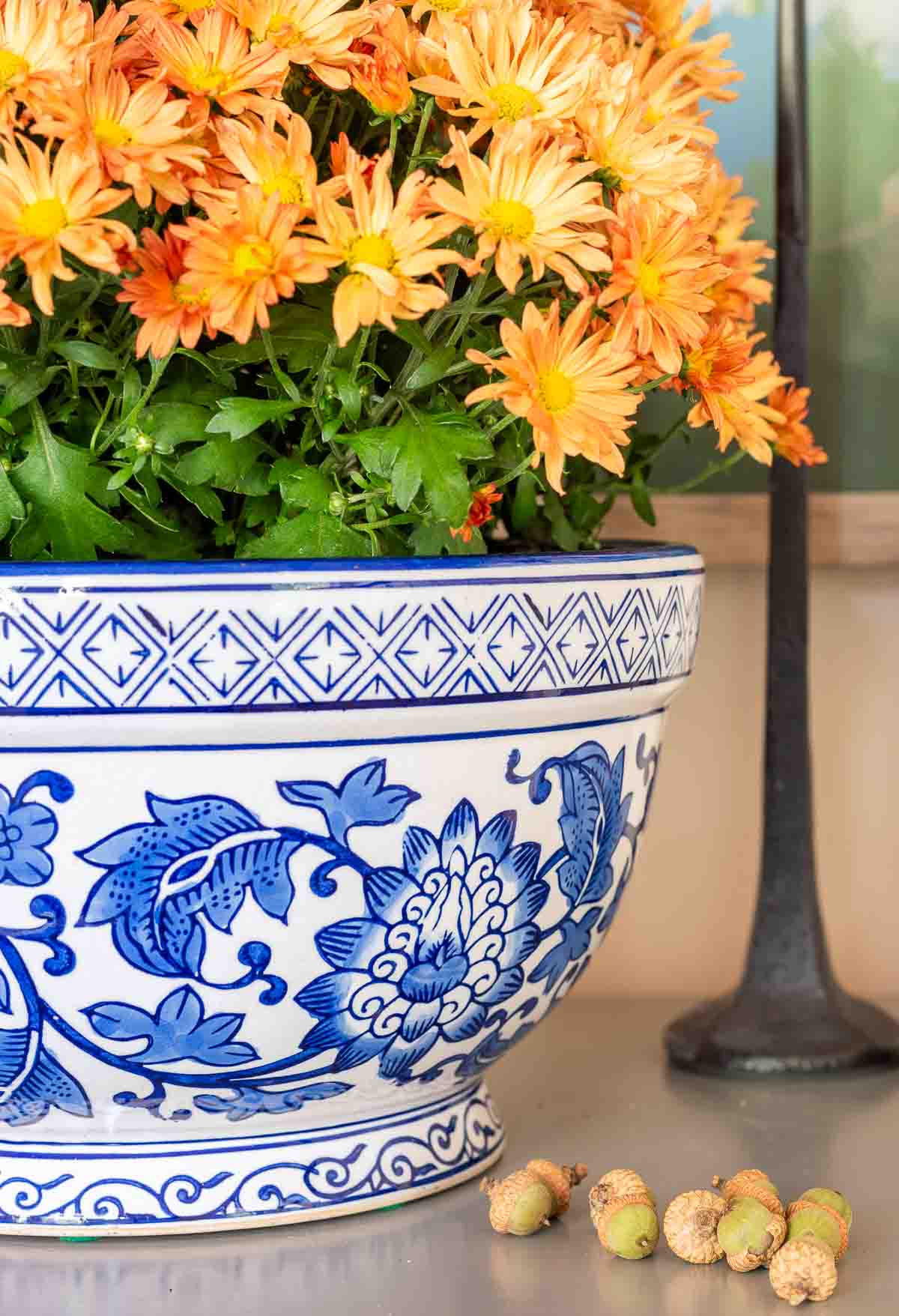 rust colored mum in a blue and white chinoiserie bowl for fall