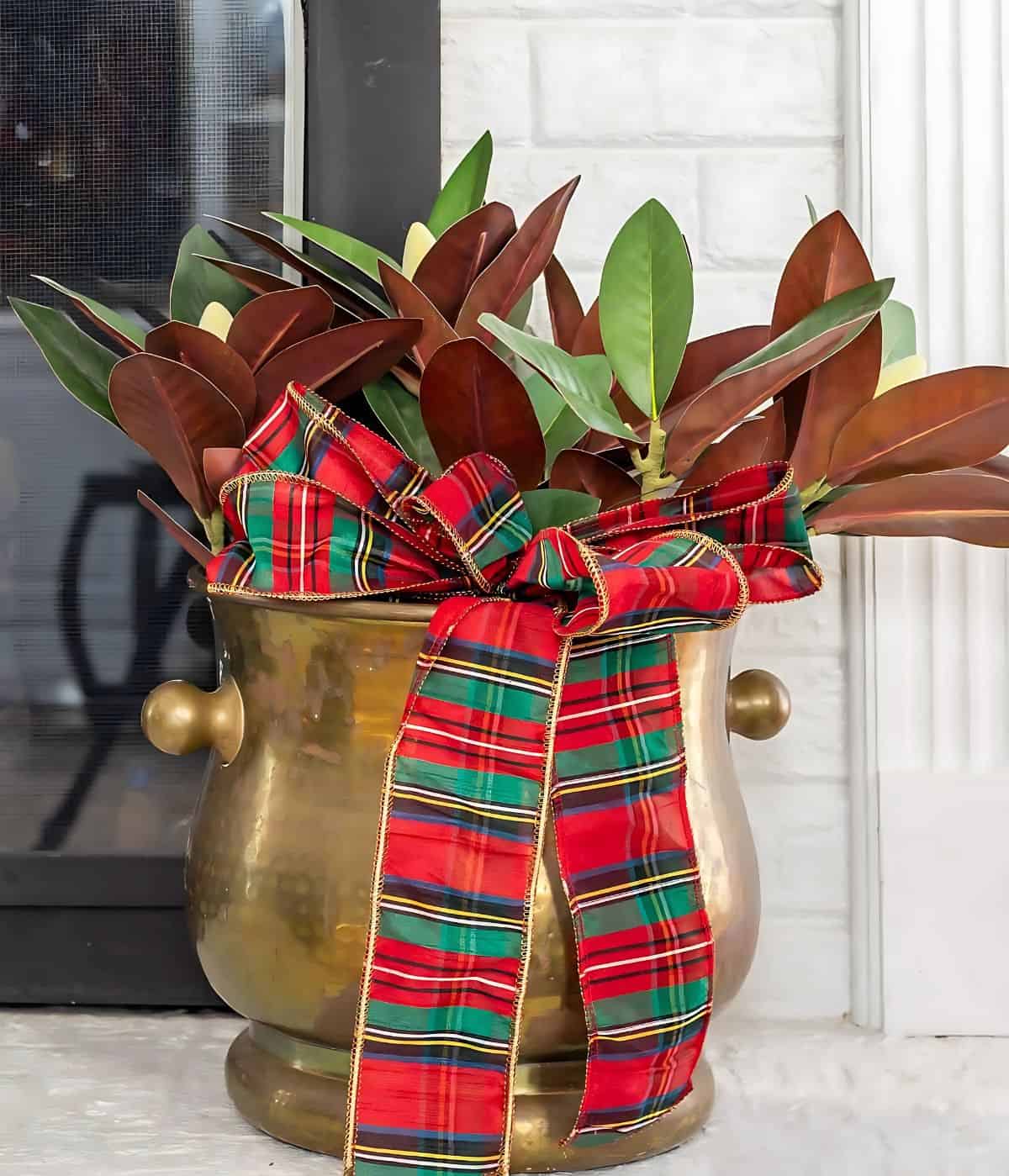 magnolias in brass planter with plaid ribbon